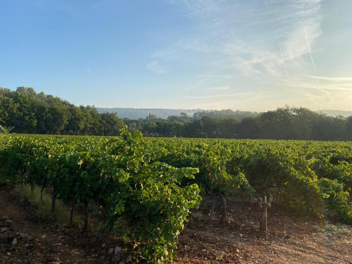 Bed and Breakfast L'Eveil En Provence Entrecasteaux Экстерьер фото